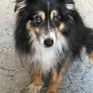 Meet your Posher, Kim h.